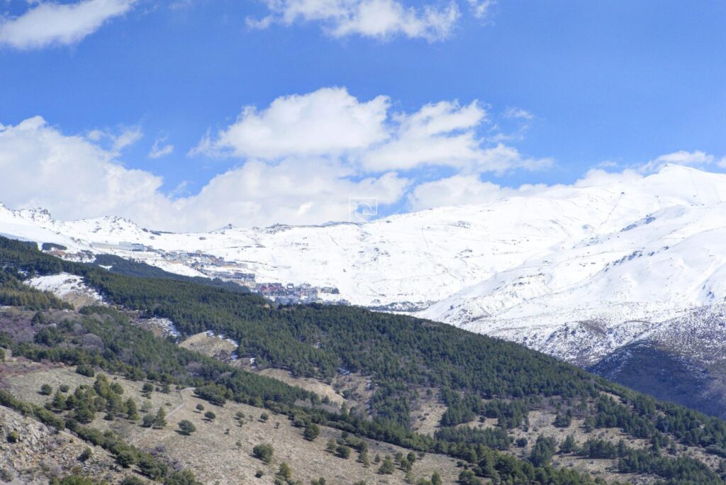 Studio - Monachil - ESTACIÓN DE ESQUÍ DE SIERRA NEVADA
