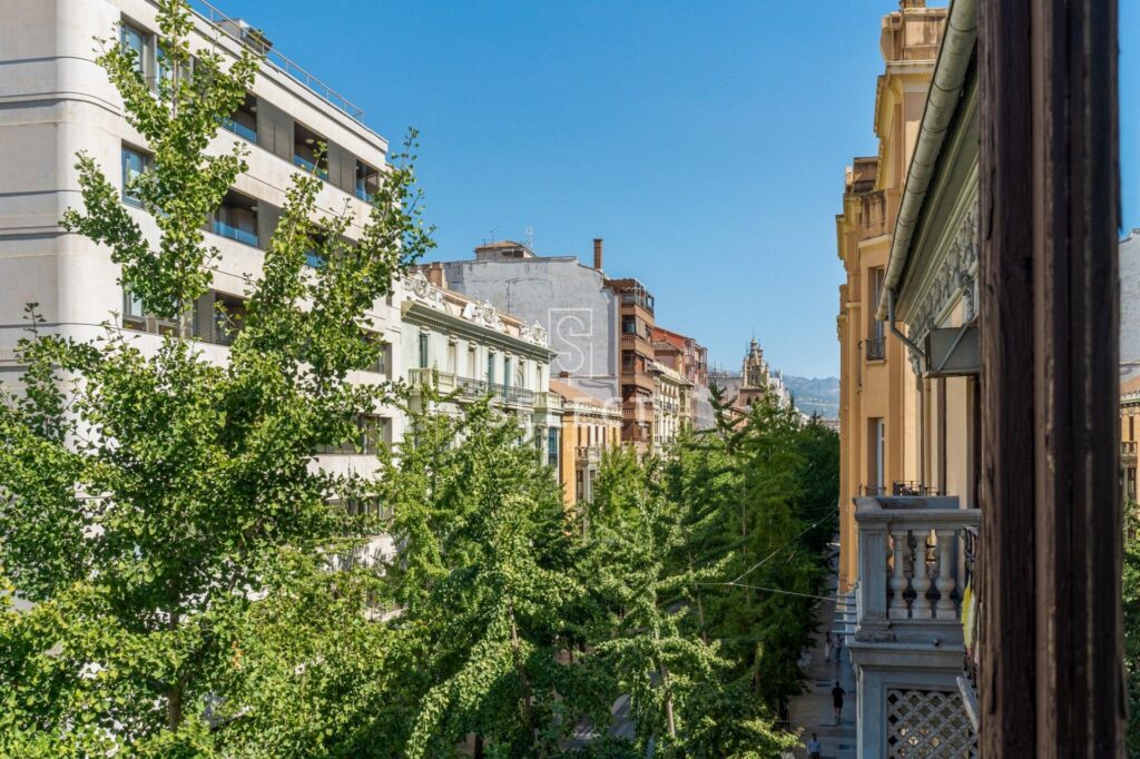 Penthouse - Granada - Gran via