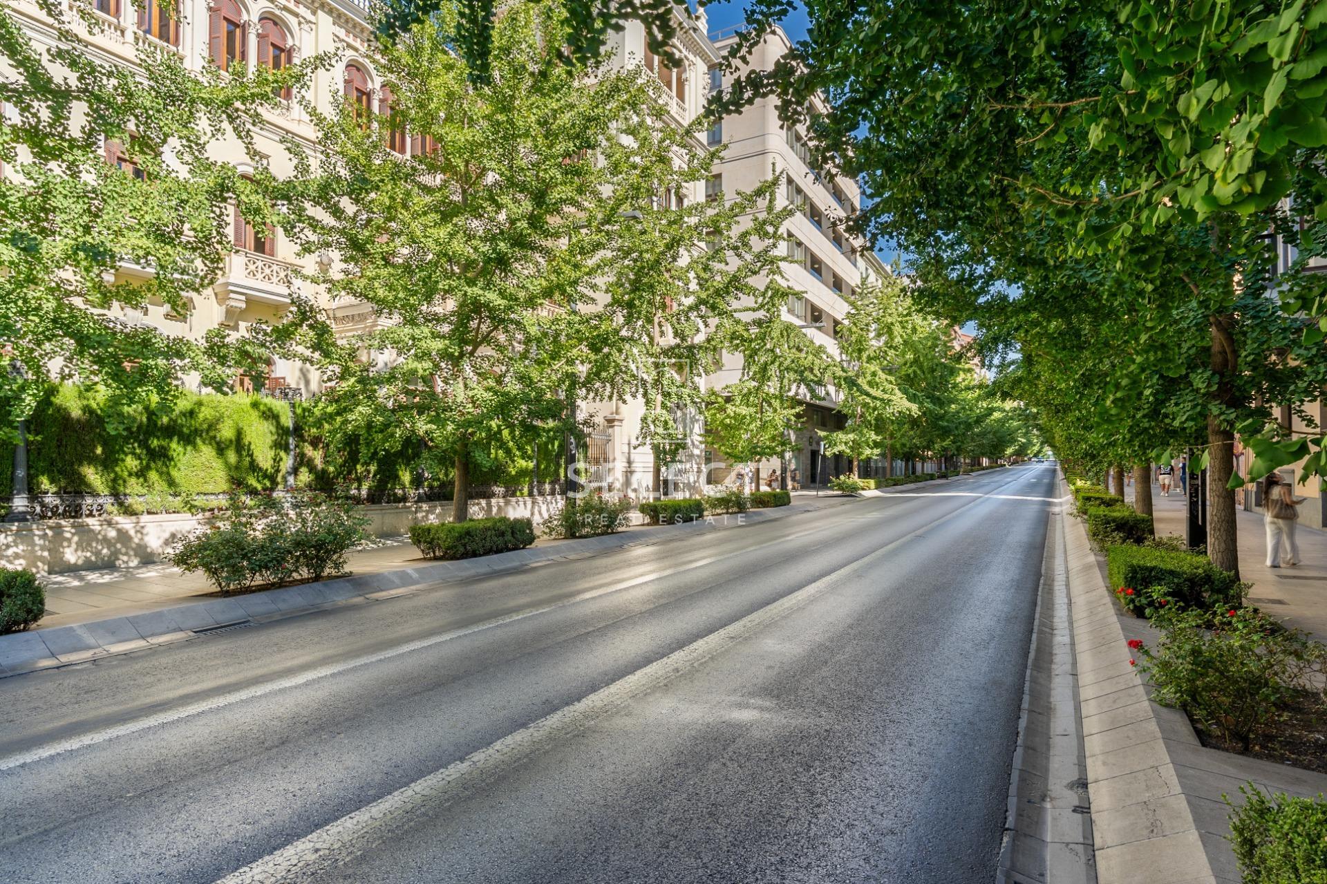 Penthouse - Granada - Gran via