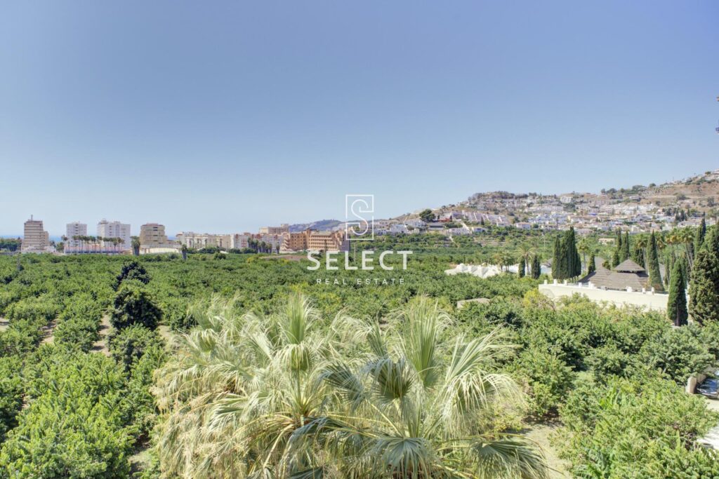 Apartment - Almuñecar - Centro